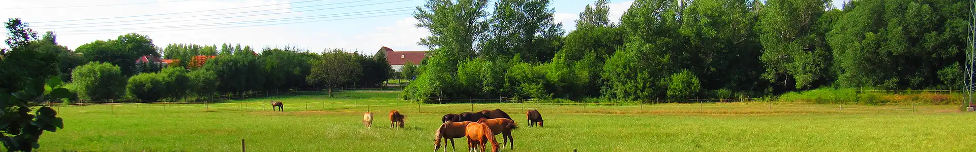 Borna Ortsteil Haubitz