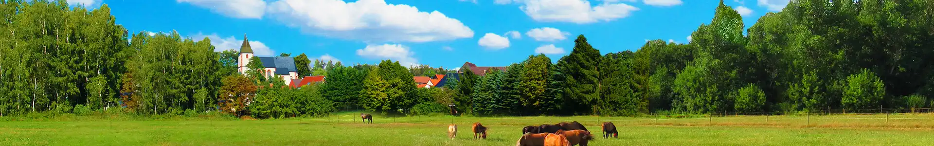 Dorf Eula bei Borna