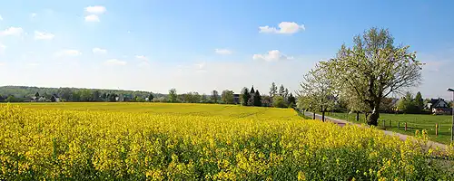 Borna Ortsteil Gestewitz